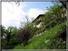 foto Passeggiata Rocca - Zanetti - Corlo